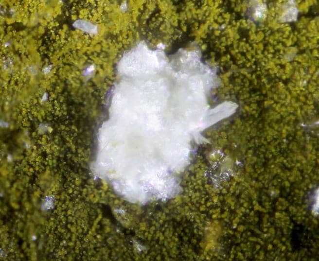 Parafransoletite mineral