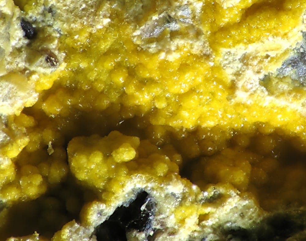Paramendozavilite mineral