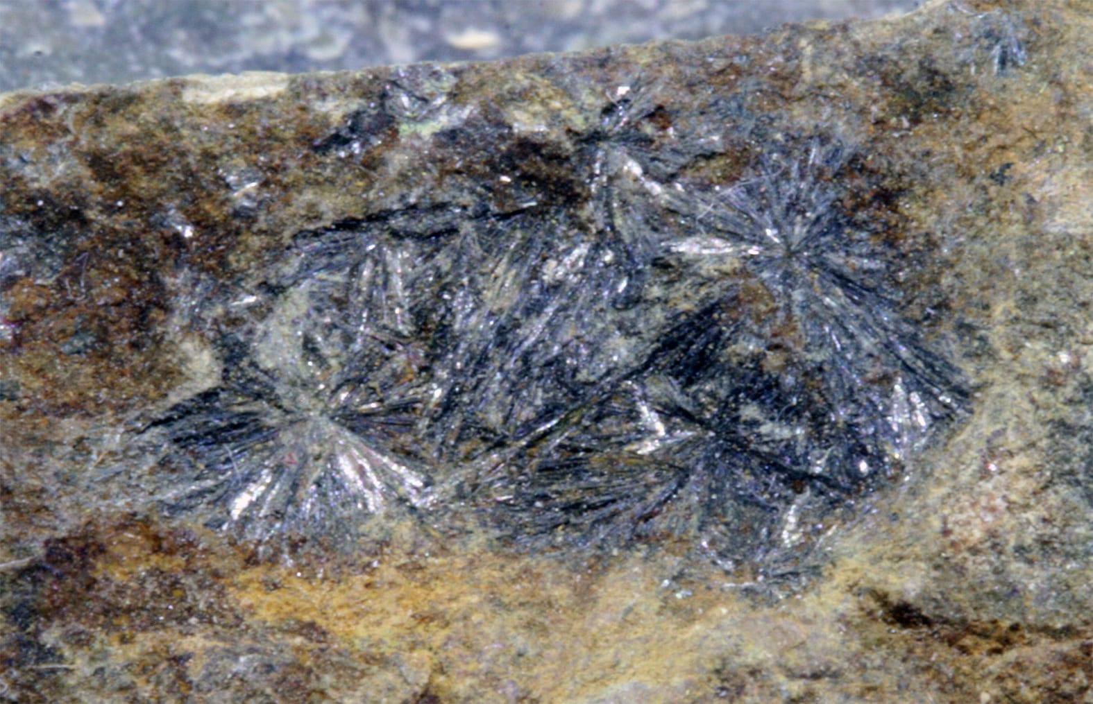 Parasymplesite mineral