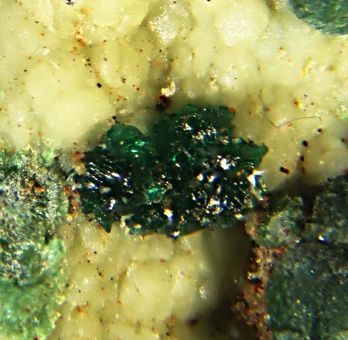 Paratacamite-(Ni) mineral — Paratacamite (Ni)