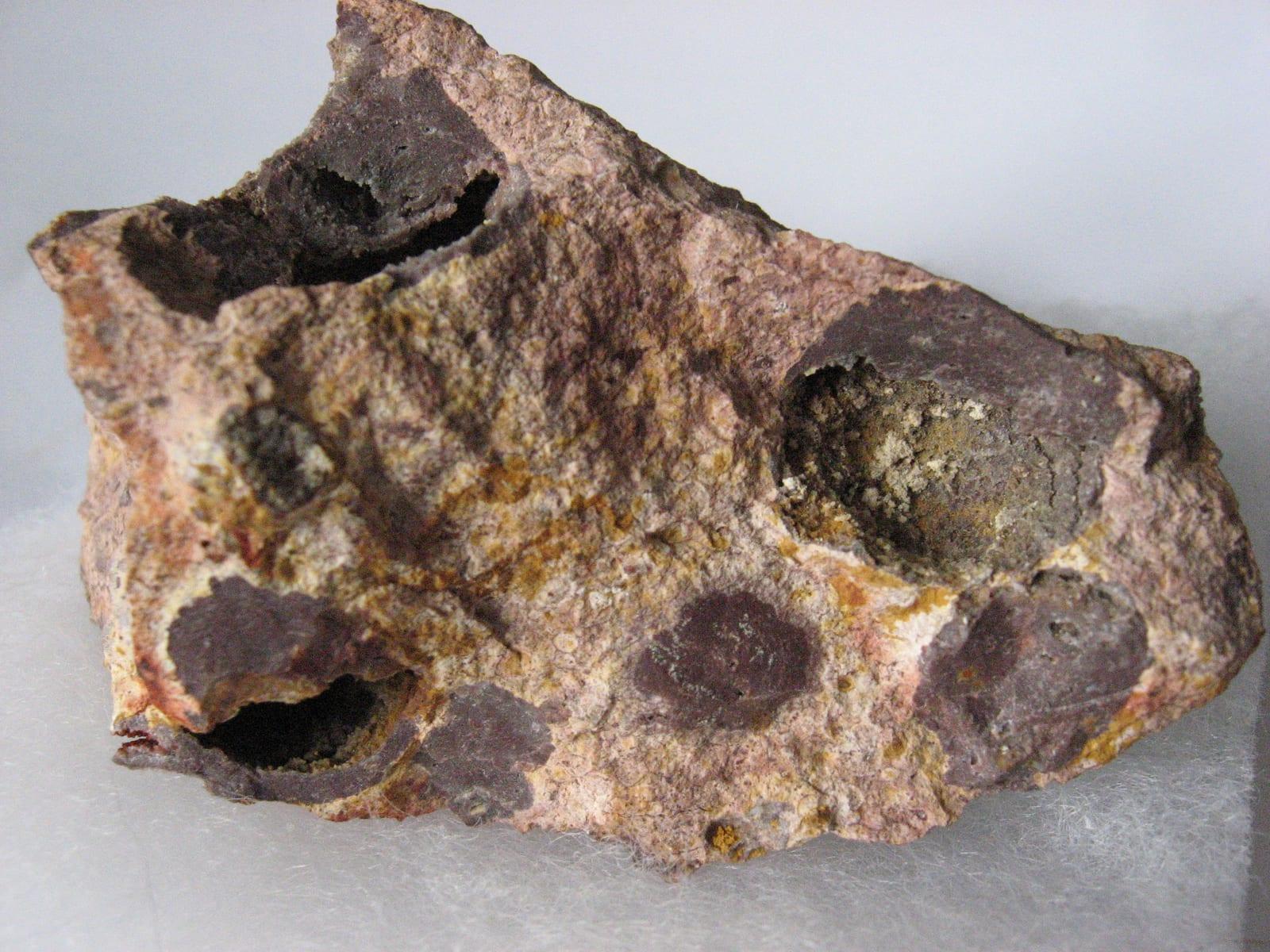 Parauranophane mineral