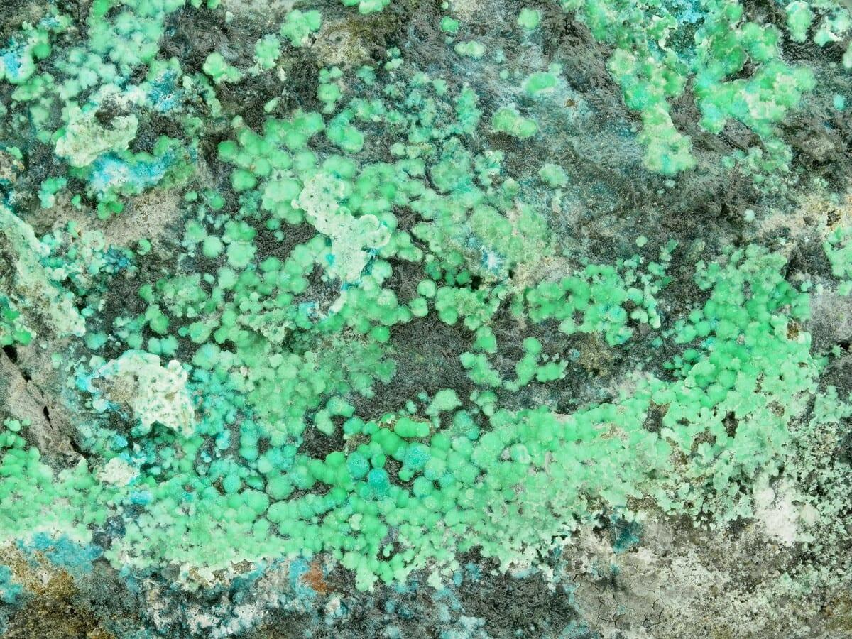 Pauladamsite mineral — Mineralatlas Lexikon   Pad (english Version)
