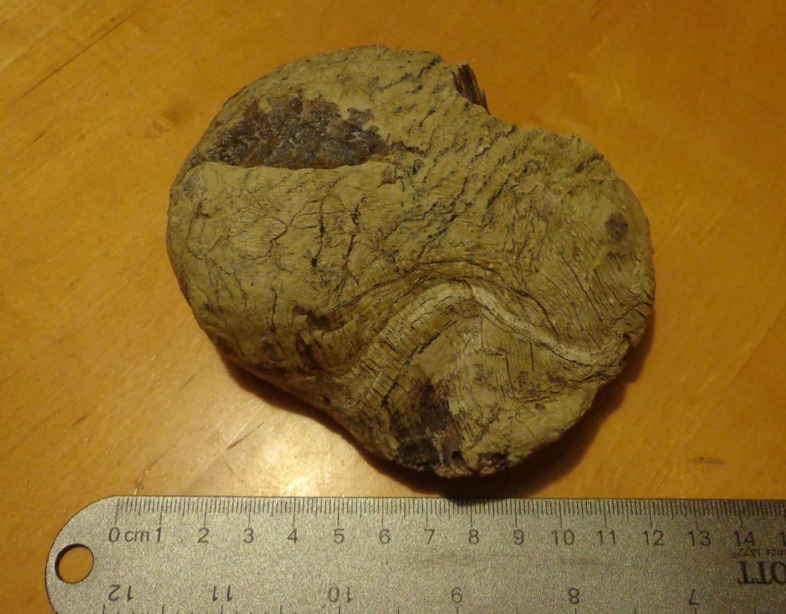 Pecoraite mineral