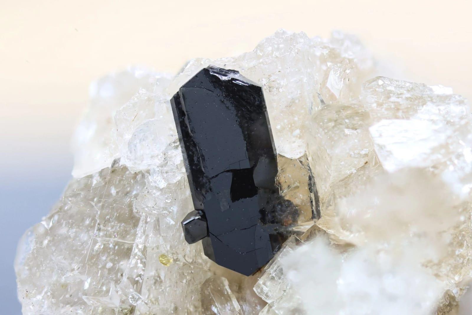 Perrierite-(Ce) mineral — Perrieritece Dellen AR 3mmhigh