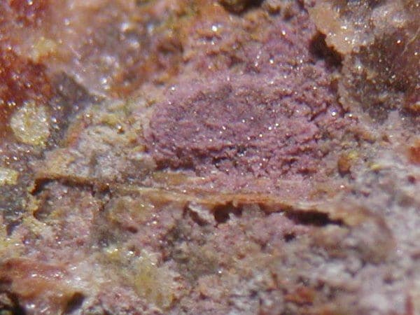Petterdite mineral