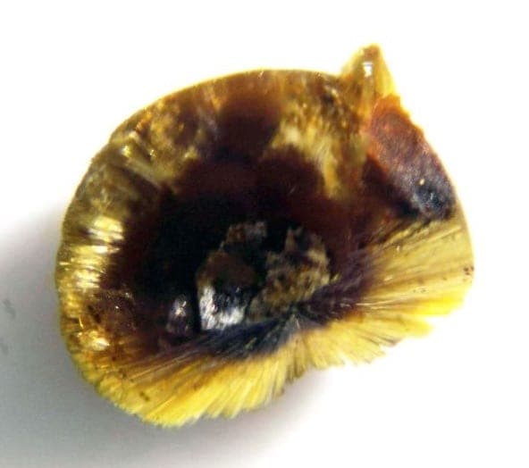 Phosphofibrite mineral