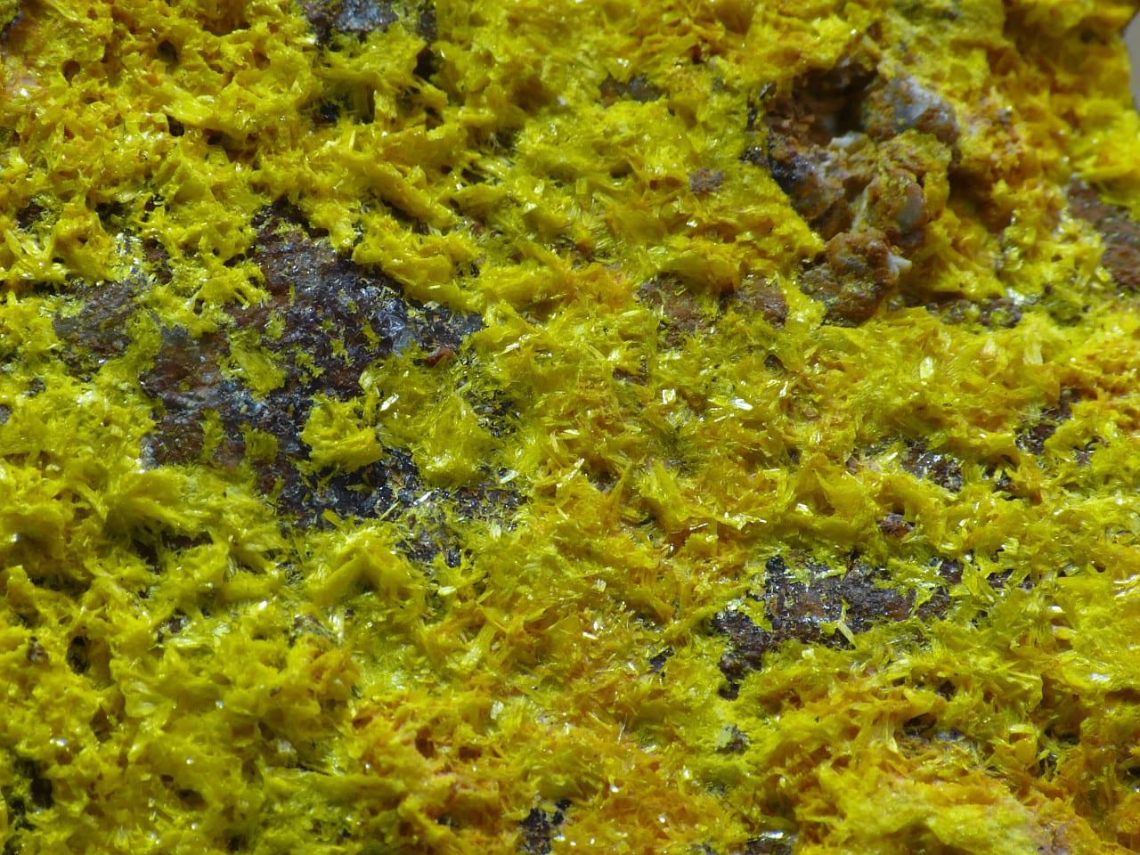 Phosphuranylite mineral