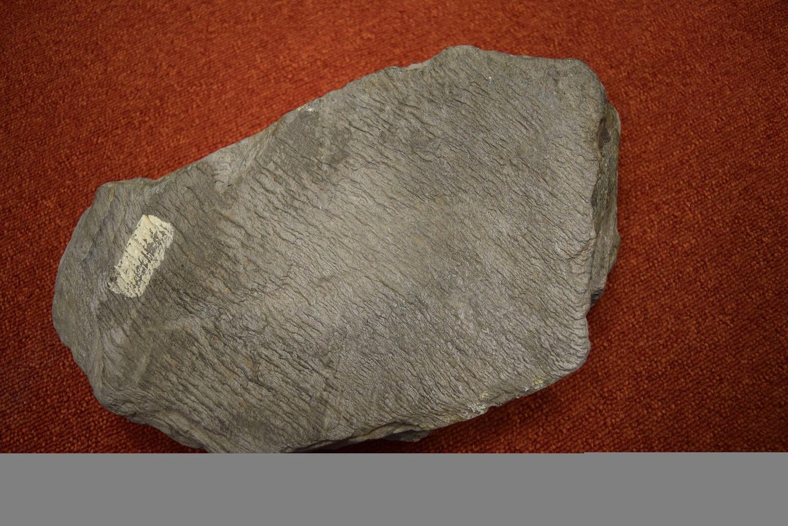 Phyllite metamorphic