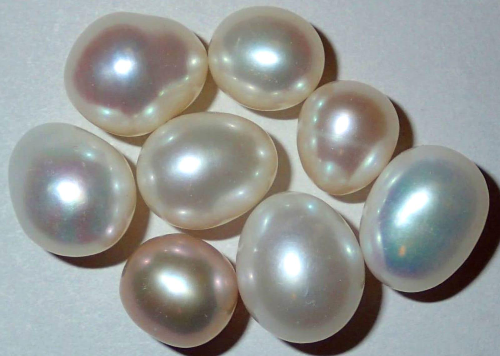 Pink Pearl fossil