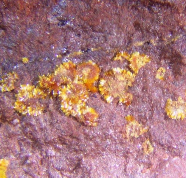 Plavnoite mineral