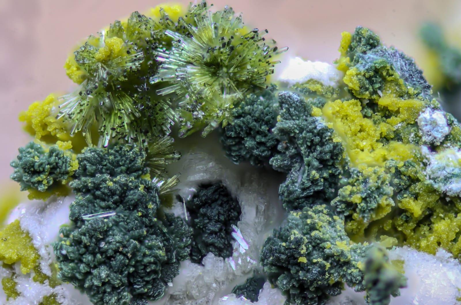 Plimerite mineral