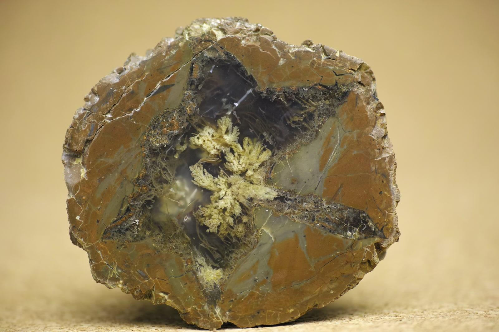 Plume Agate specimen - Oregon001