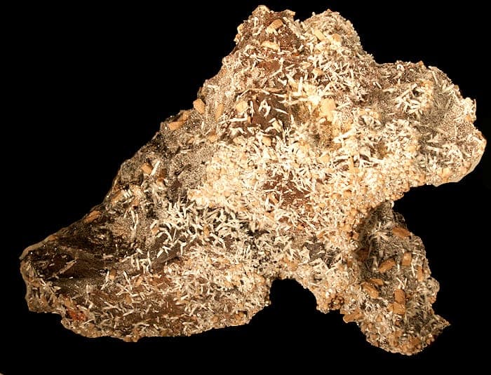 Poldervaartite mineral