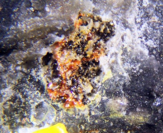 Polhemusite mineral
