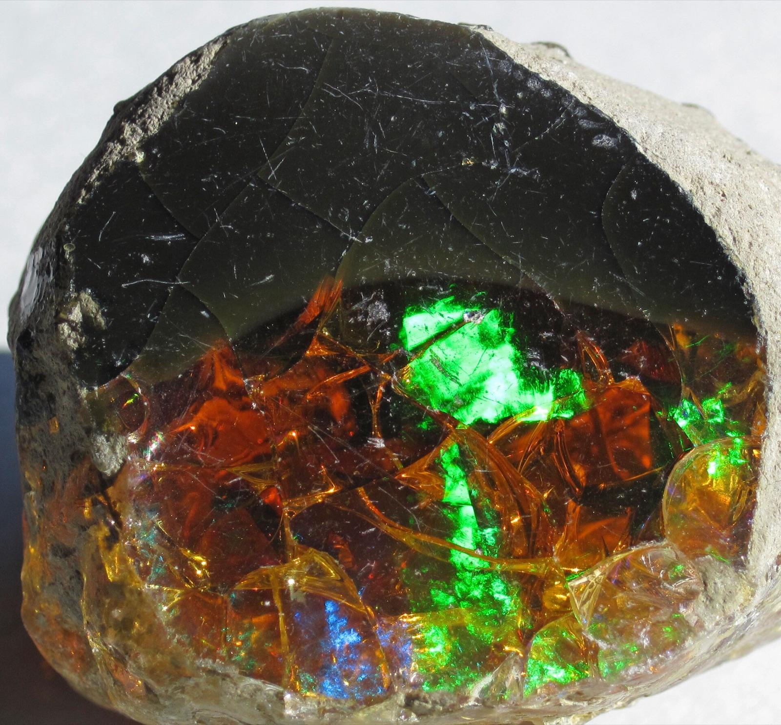 Precious opal showing play of colour across the stone
