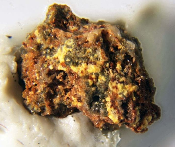 Przhevalskite mineral