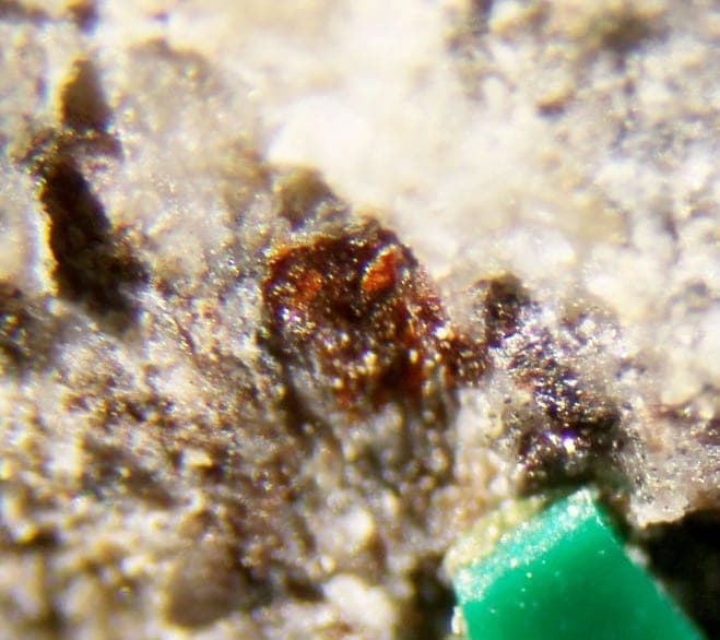 Pyrobelonite mineral