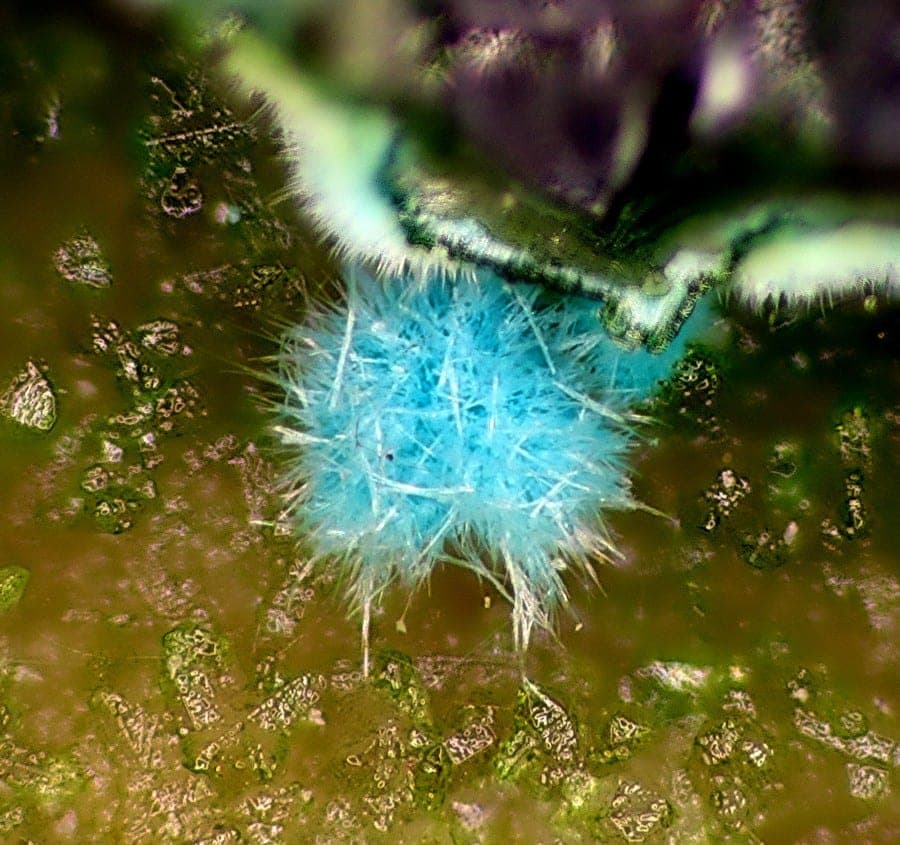 Quetzalcoatlite mineral