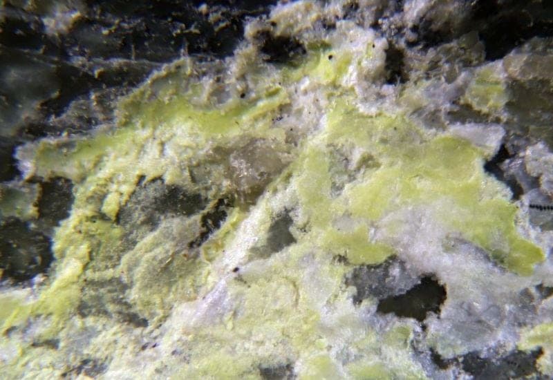 Reevesite mineral