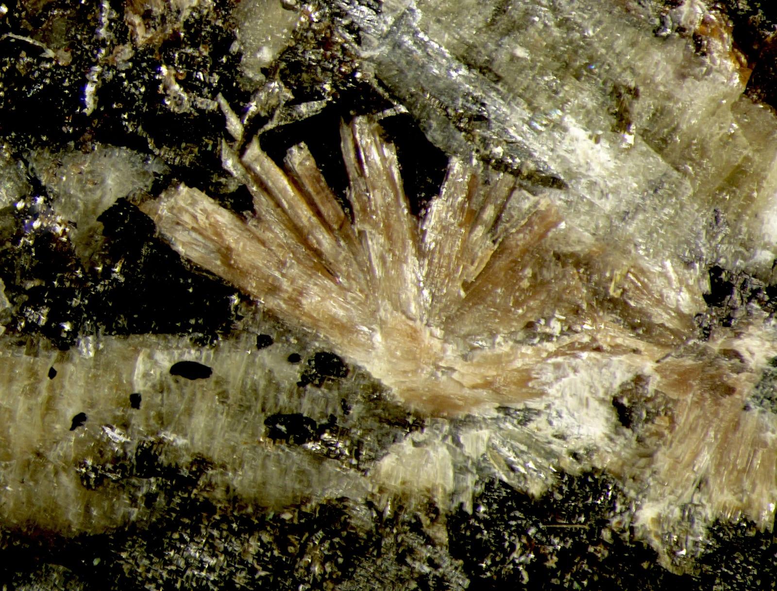 Rinkite-(Ce) mineral — Rinkite (Ce), Fluorapatite, Fluorite 574772