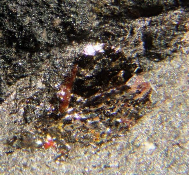 Roxbyite mineral