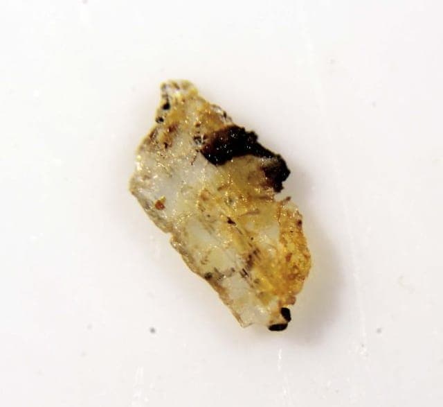 Samuelsonite mineral