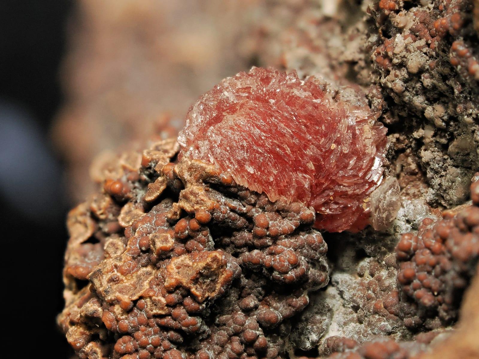 Sarkinite mineral