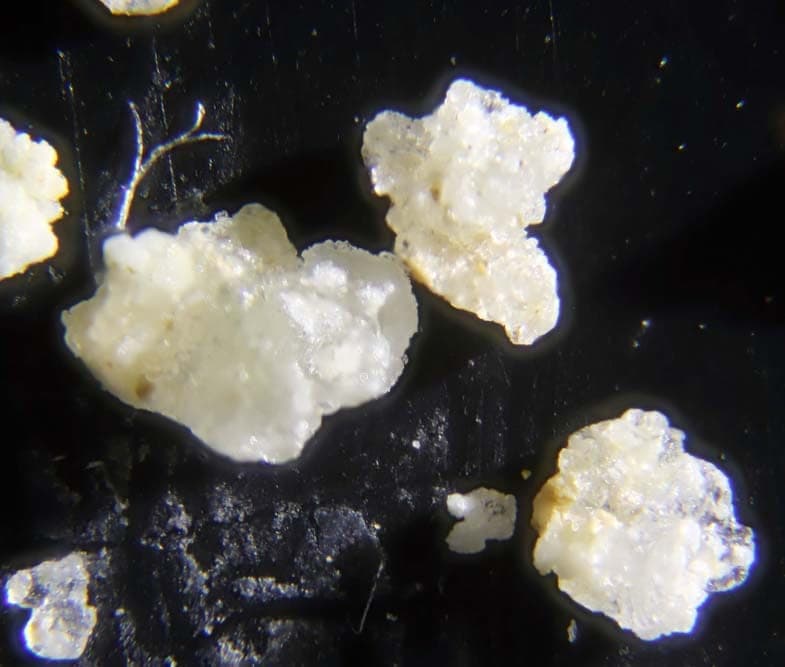 Sborgite mineral
