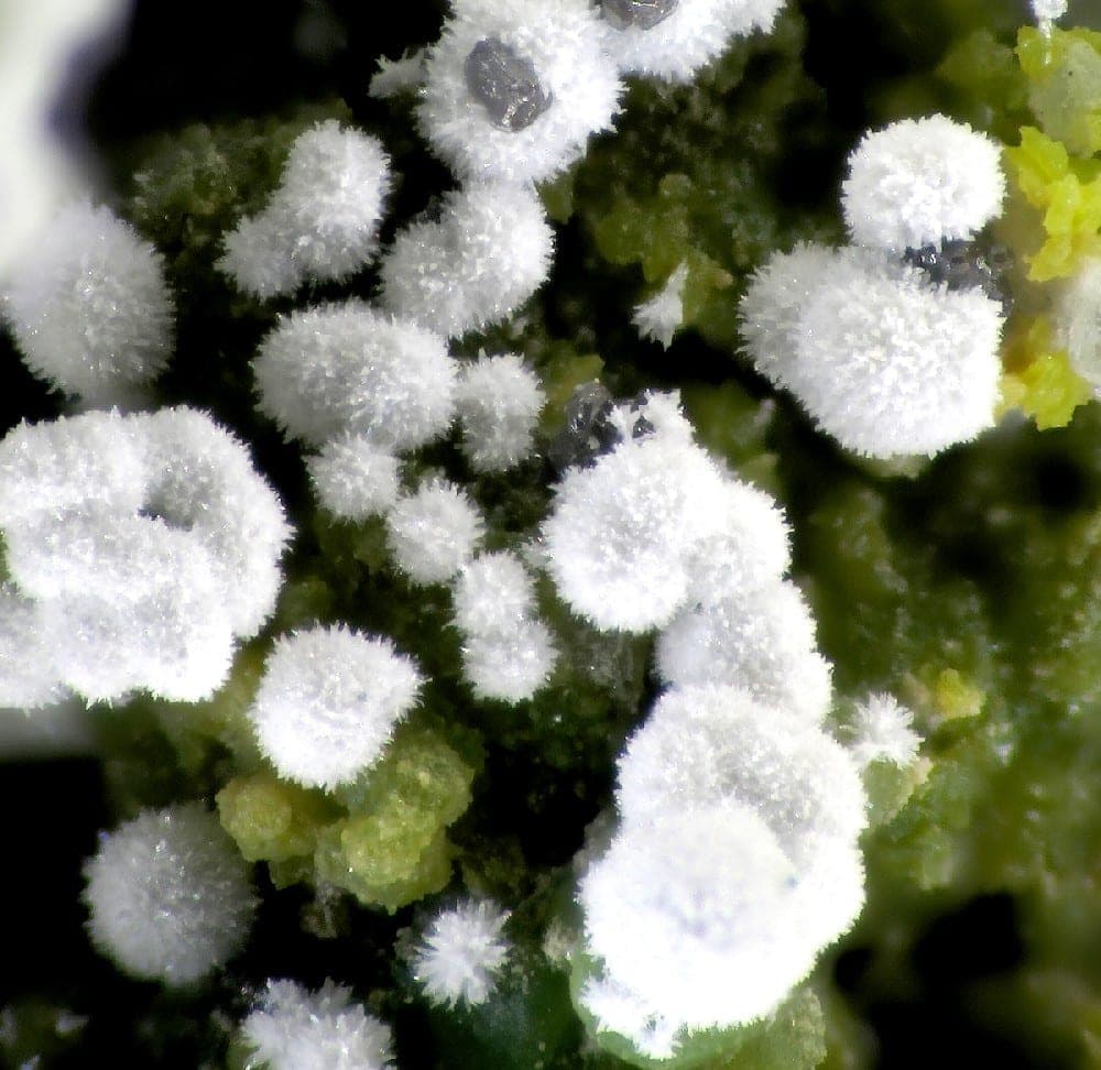 Schieffelinite mineral
