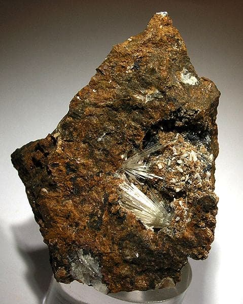 Scholzite mineral