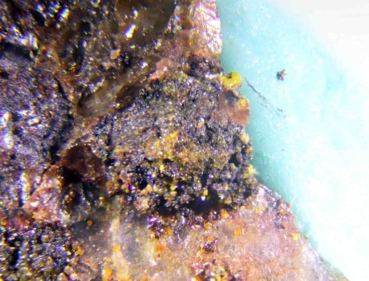 Schubnelite mineral