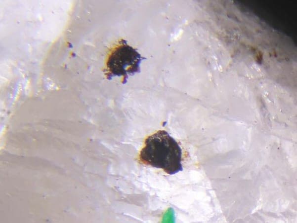 Scrutinyite mineral