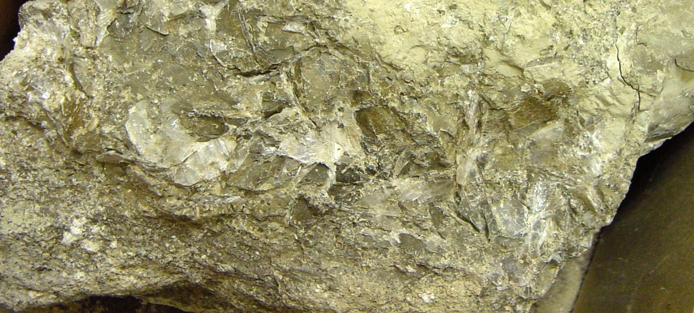 Searlesite mineral