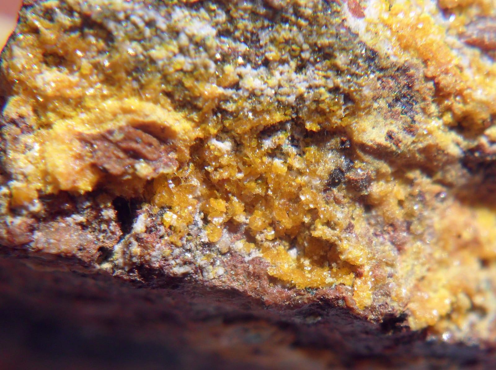 Seeligerite mineral