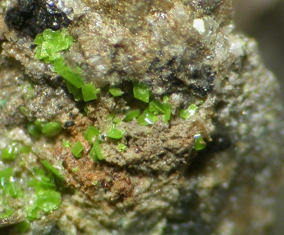 Sengierite mineral