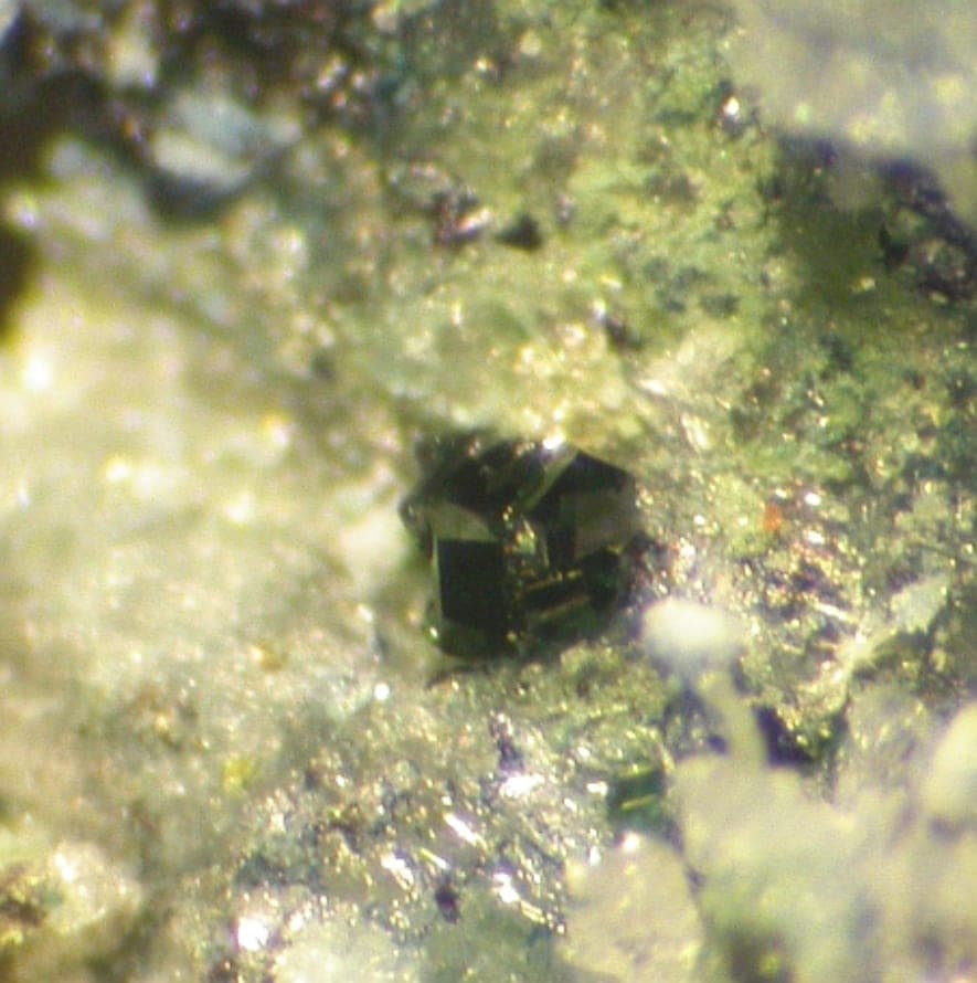 Sidwillite mineral