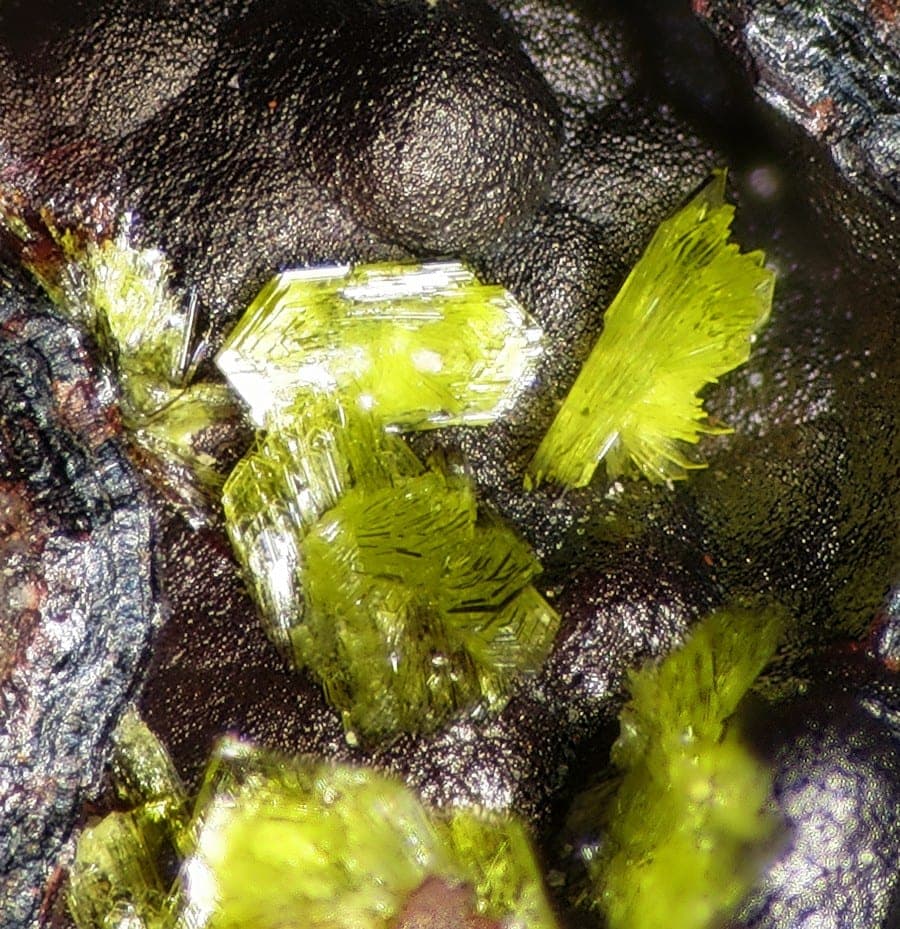 Sonoraite mineral