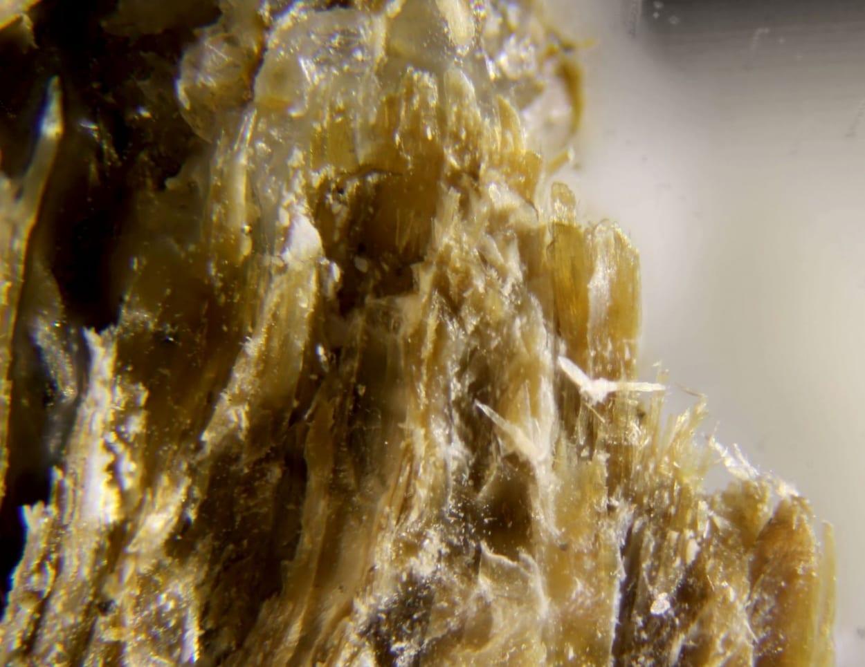 Spadaite mineral
