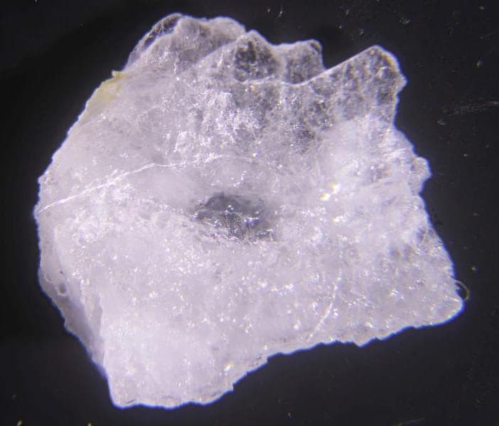 Stenonite mineral