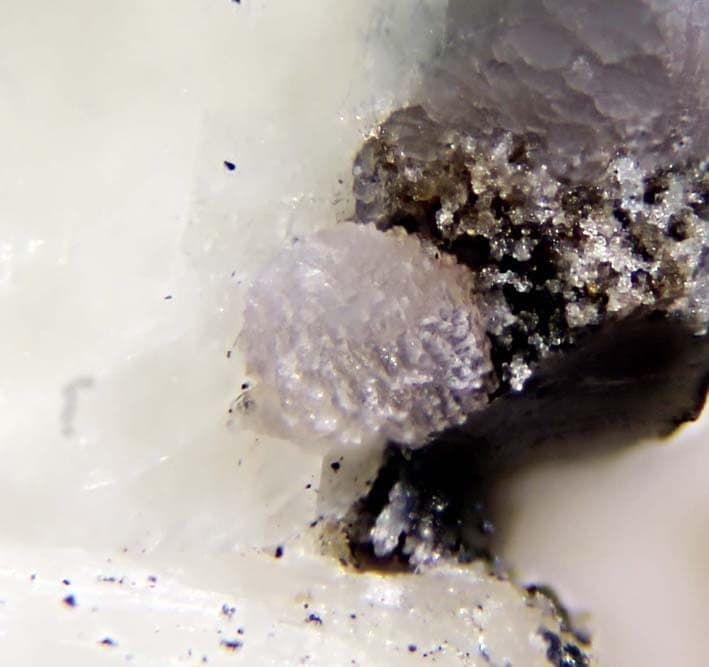 Strontiowhitlockite mineral