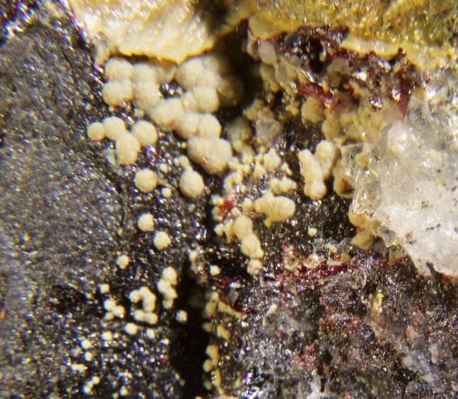 Symplesite mineral