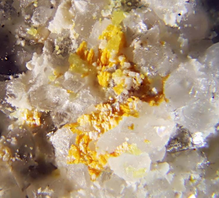 Terlinguacreekite mineral