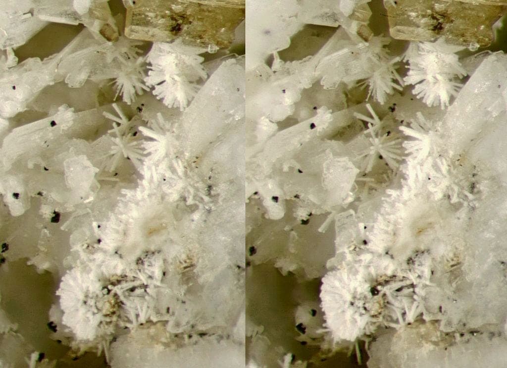 Thorbastnäsite mineral