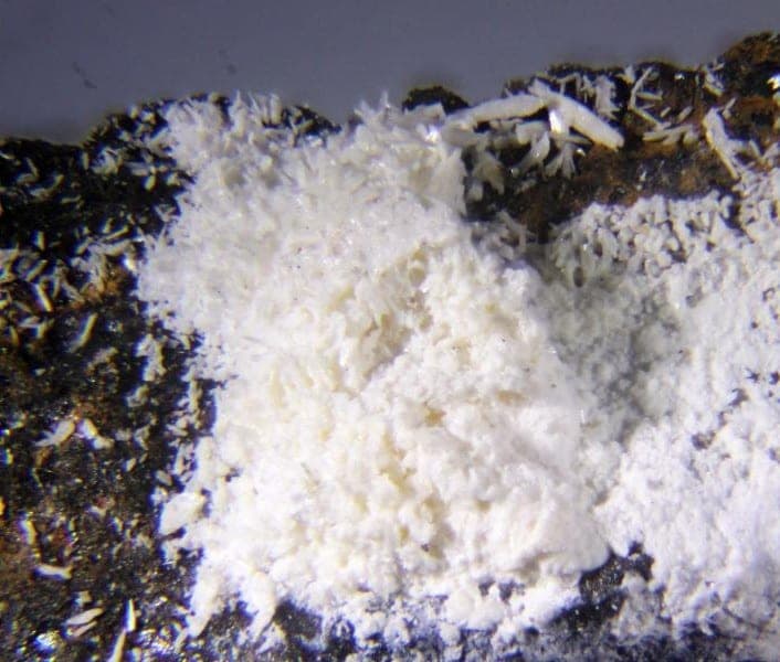 Tinnunculite mineral