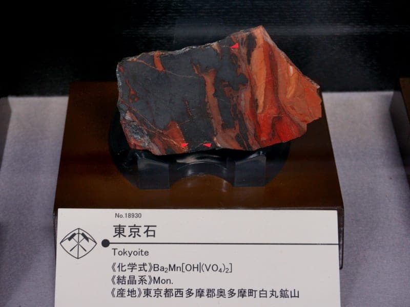Tokyoite mineral
