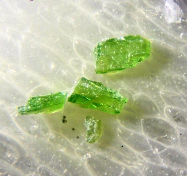 Vanadio-pargasite mineral — Vanadiopargasite