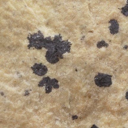 Wattersite mineral