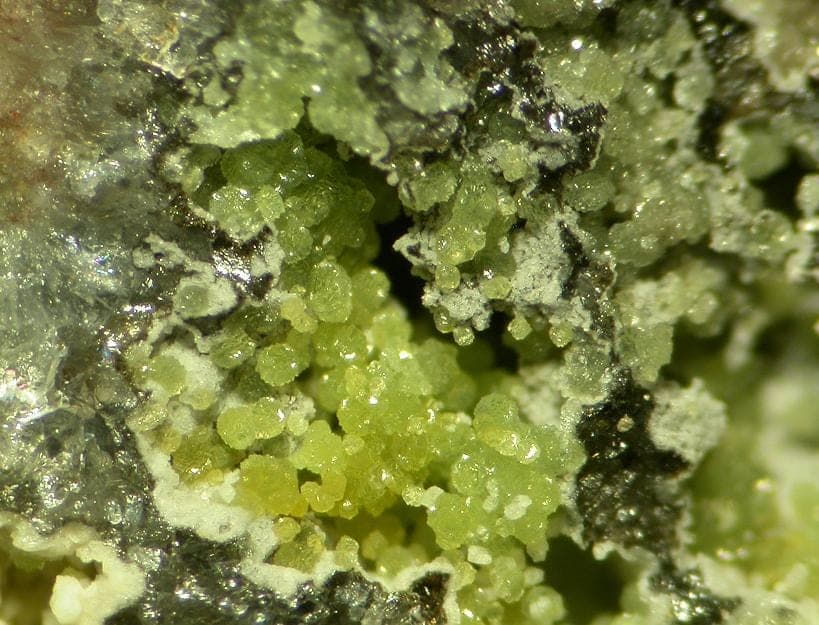 Waylandite mineral