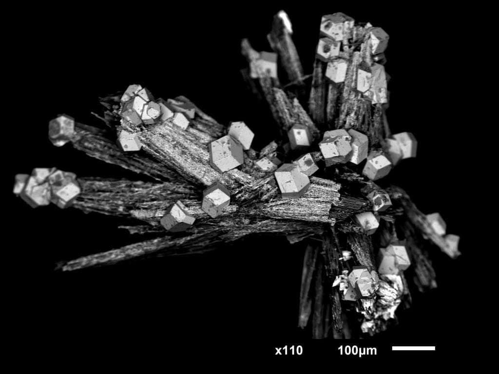 Wilancookite mineral