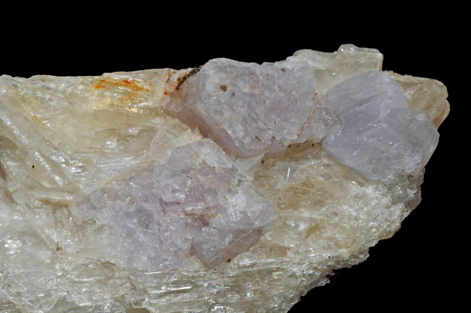 Winchite mineral